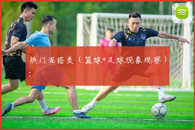 热门混搭类(篮球+足球现象观察):