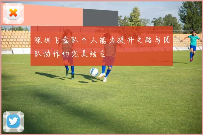 深圳飞盘队个人能力提升之路与团队协作的完美结合