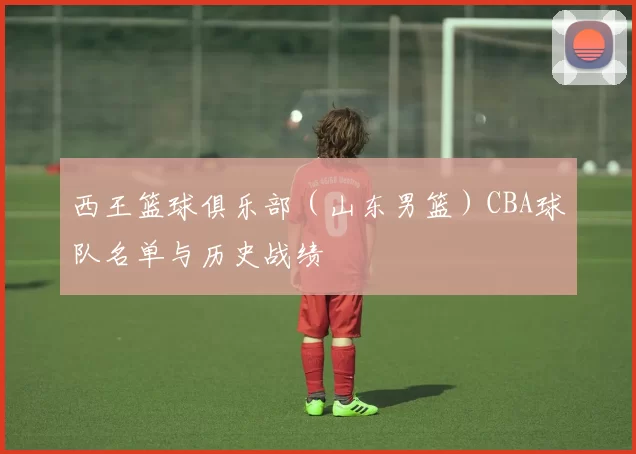 西王篮球俱乐部(山东男篮)CBA球队名单与历史战绩