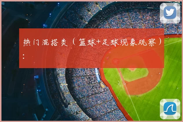 热门混搭类(篮球+足球现象观察):