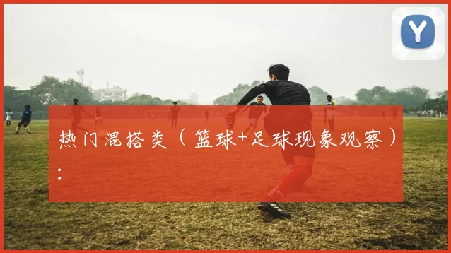 热门混搭类(篮球+足球现象观察):