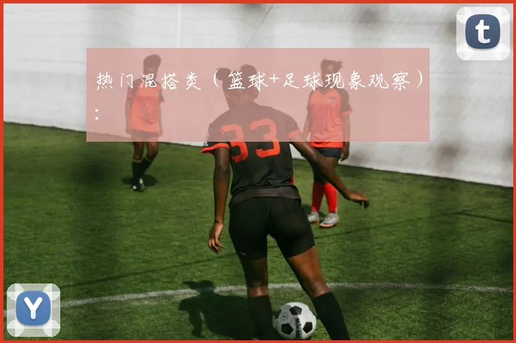 热门混搭类(篮球+足球现象观察):