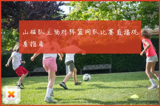 山猫队主场对阵篮网队比赛直播观看指南