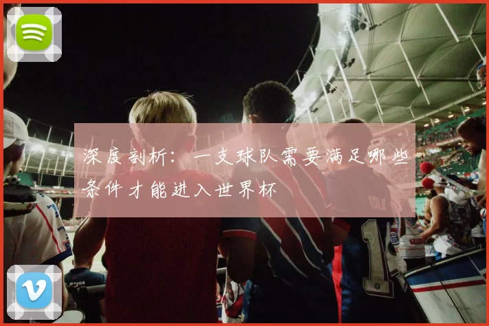 深度剖析：一支球队需要满足哪些条件才能进入世界杯