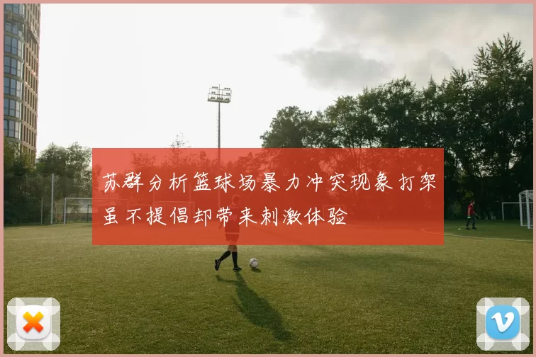 苏群分析篮球场暴力冲突现象打架虽不提倡却带来刺激体验
