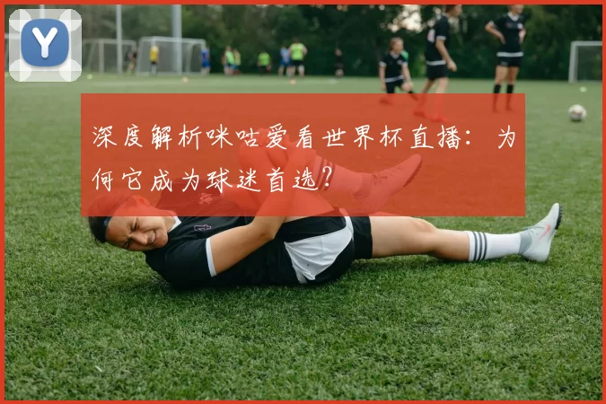 深度解析咪咕爱看世界杯直播:为何它成为球迷首选?