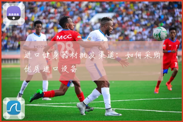 进口健身器材批发渠道：如何采购优质进口设备