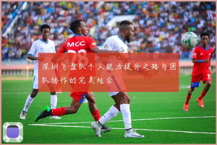 深圳飞盘队个人能力提升之路与团队协作的完美结合