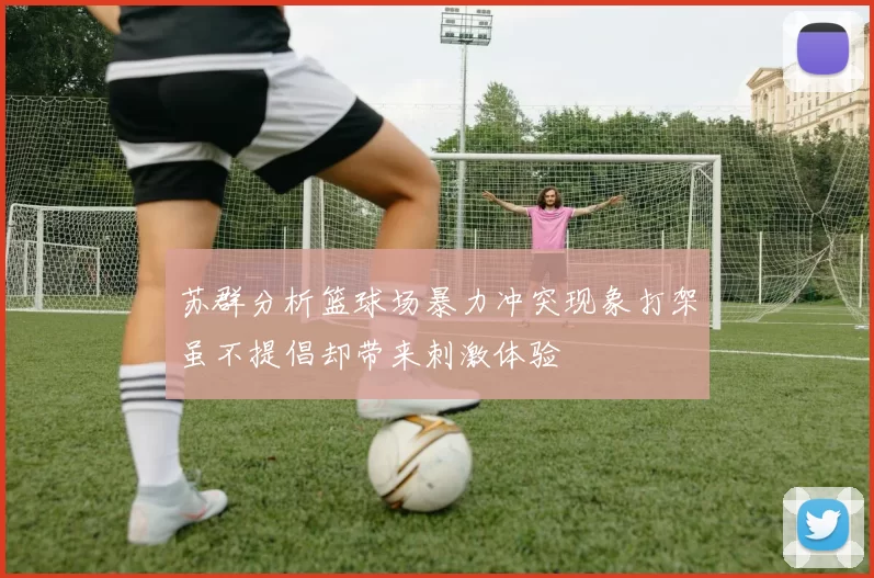 苏群分析篮球场暴力冲突现象打架虽不提倡却带来刺激体验