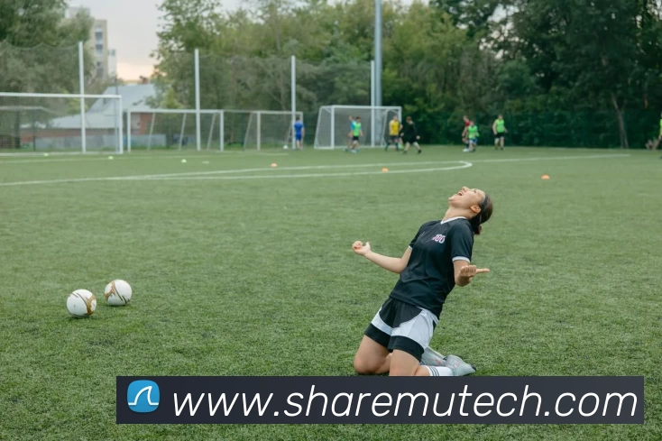 华体会体育APP 封面图